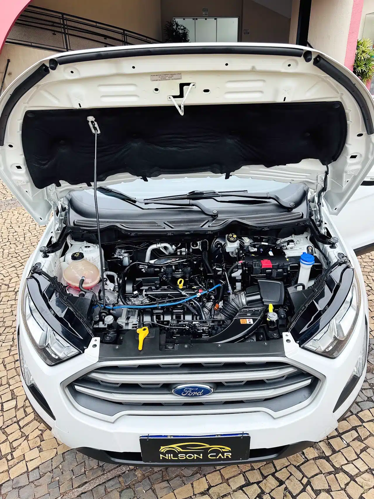 2020-21-Ford-Ecosport-SE-1_5-Branco-engine - Nilson Car Front view of a white Ford with the hood raised, showing the engine bay and various hoses and components.